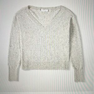 Everlane cashmere crop v-neck in frost donegal (size M)